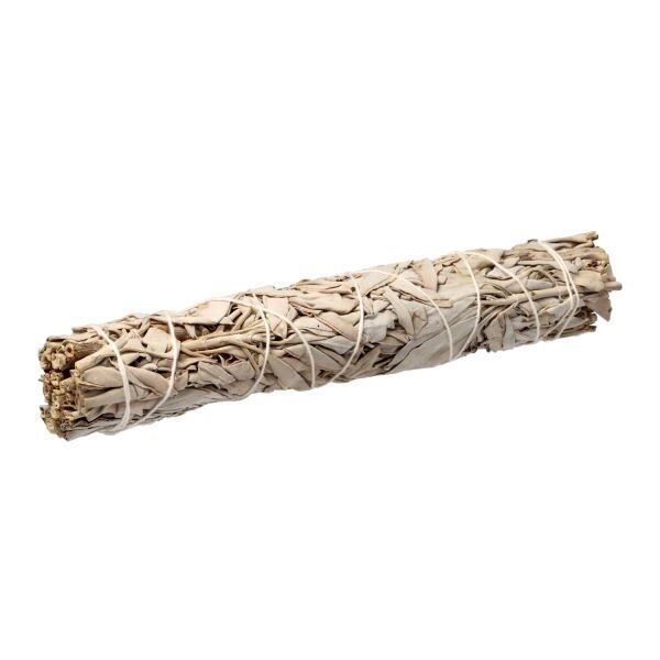 Baltasis šalavijas (White Sage). Dydis XL