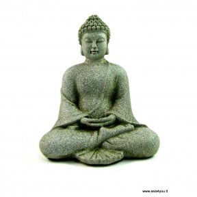 Medituojantis Buda