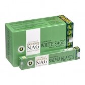 Golden Nag White Sage smilkalai x 12