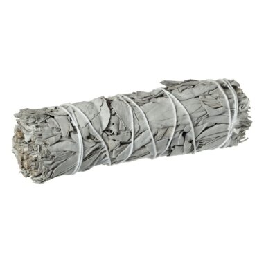 Baltasis šalavijas (White Sage). Dydis L
